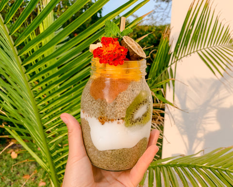 layered chia pudding made with vegan harmless harvest smoothie with palm leaves in the background